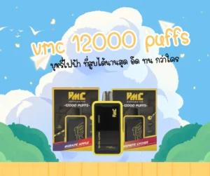 vmc 12000 puffs