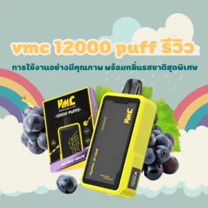 vmc 12000 puff รีวิว